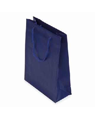 BOLSA PRESENTE PVC