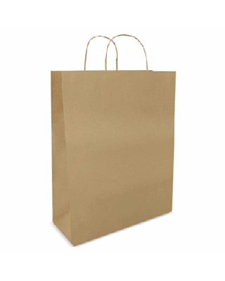 BOLSA DE PAPEL "STORE"